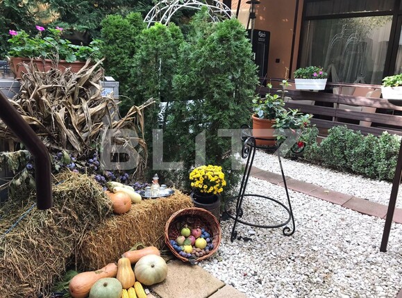 Casa de vânzare 24 camere Mehala - 98124CV | BLITZ Timișoara | Poza17