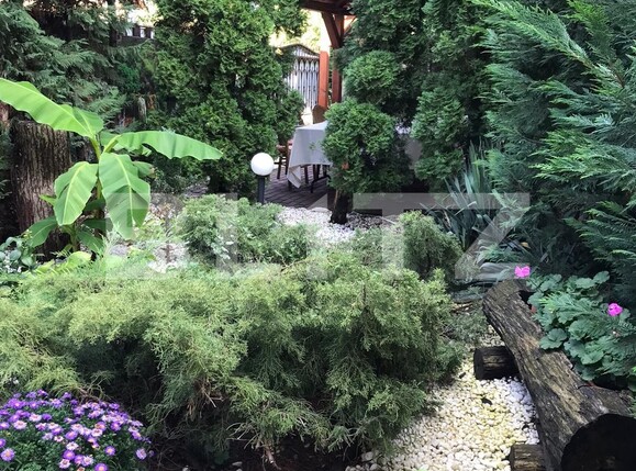 Casa de vânzare 24 camere Mehala - 98124CV | BLITZ Timișoara | Poza15