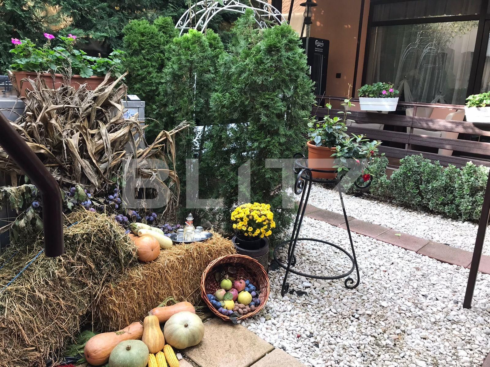 Casa de vânzare 24 camere Mehala - 98124CV | BLITZ Timișoara | Poza17