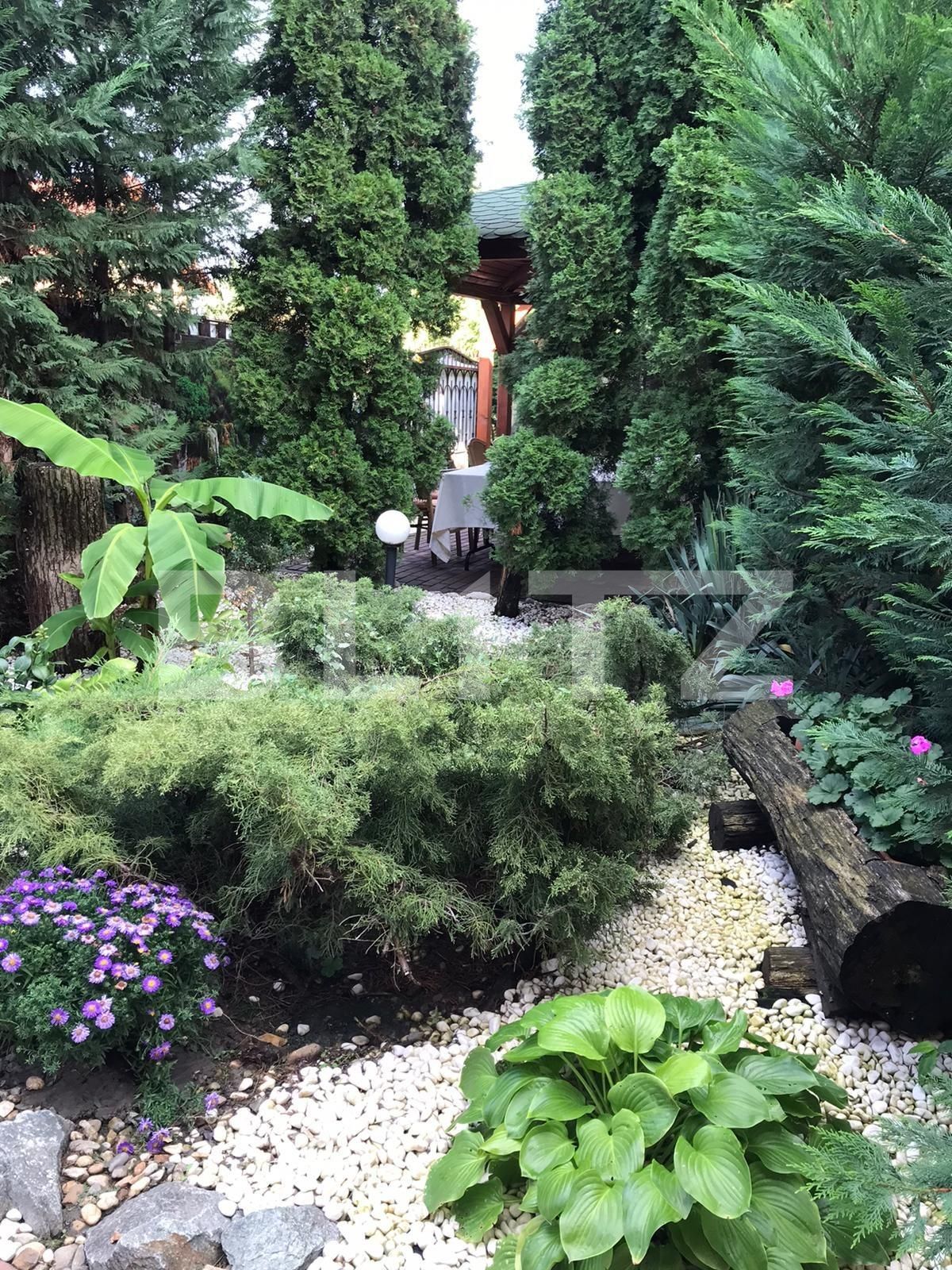 Casa de vânzare 24 camere Mehala - 98124CV | BLITZ Timișoara | Poza15