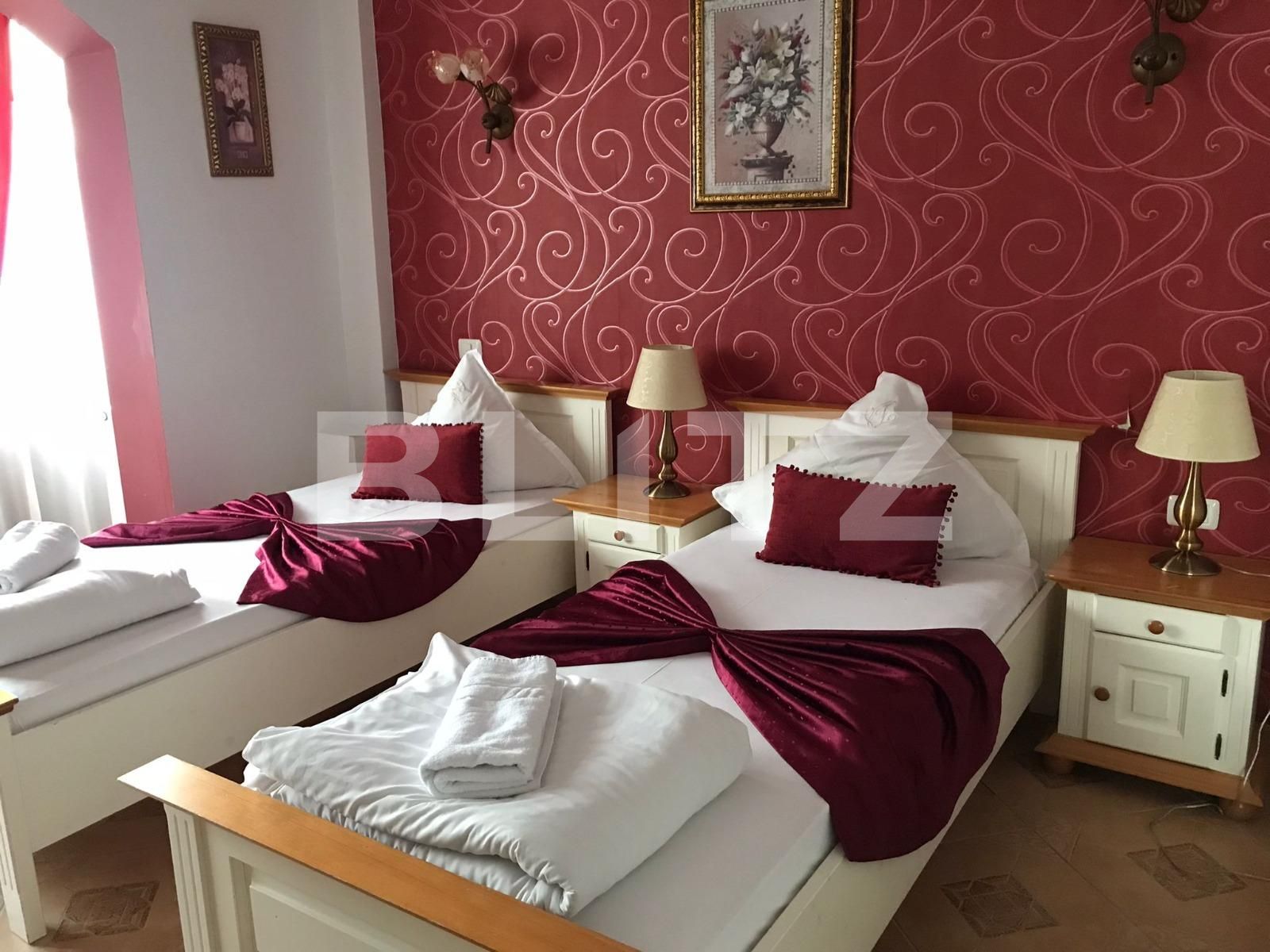 Casa de vânzare 24 camere Mehala - 98124CV | BLITZ Timișoara | Poza11