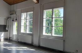 Spatiu comercial multifunctional, 716 mp, 15 parcari, zona Aradului 