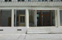 Spatiu comercial multifunctional, 716 mp, 15 parcari, zona Aradului 