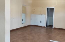 Spatiu comercial de 65 mp, zona Iosefin 