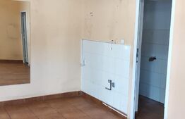 Spatiu comercial de 65 mp, zona Iosefin 