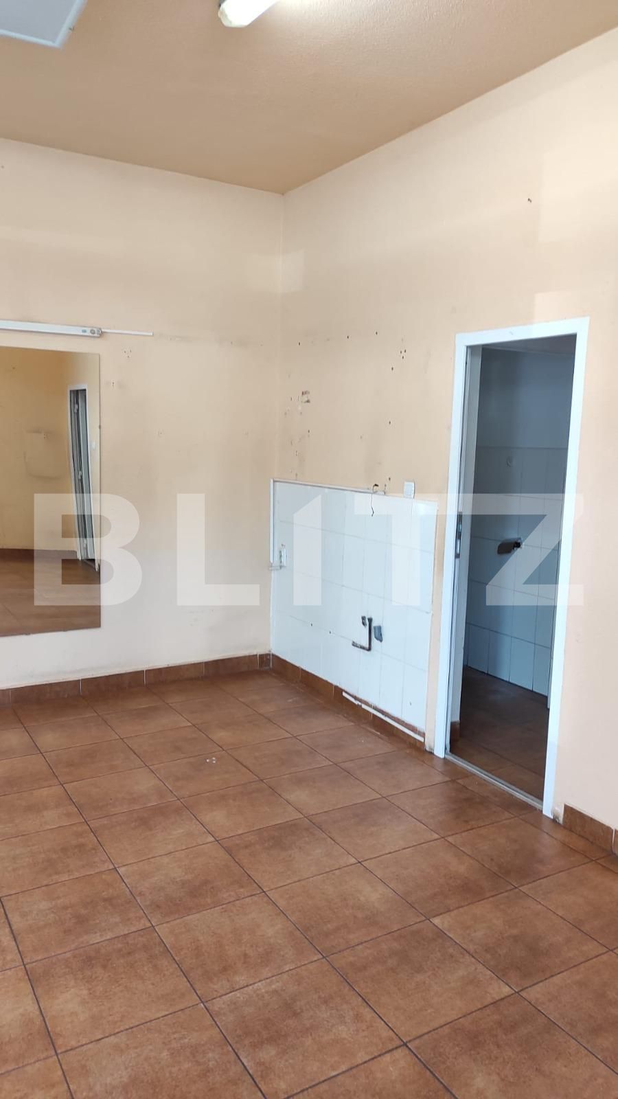 Spațiu comercial de închiriat Iosefin - 98247SIC | BLITZ Timișoara | Poza5