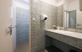 Spațiu comercial, de 396 mp + 60 mp bucatarie, zona Mircea cel Batran