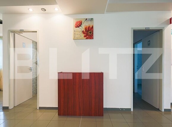 Spațiu comercial de închiriat Mircea cel Batran - 98325SIC | BLITZ Timișoara | Poza6