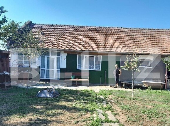 Casa de vânzare 3 camere Blascovici - 98331CV | BLITZ Timișoara | Poza2