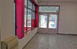 Spatiu comercial, 225 mp, zona Bogdanestilor