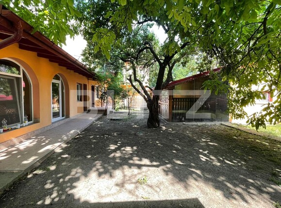 Casa de vânzare 6 camere Blascovici - 98519CV | BLITZ Timișoara | Poza5