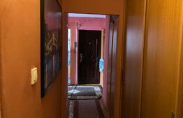 Oportunitate! Apartament 3 camere, 66 mp, zona Lipovei