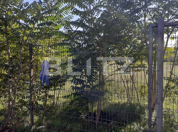 Teren de vânzare Iosefin - 98703TV | BLITZ Timișoara | Poza2