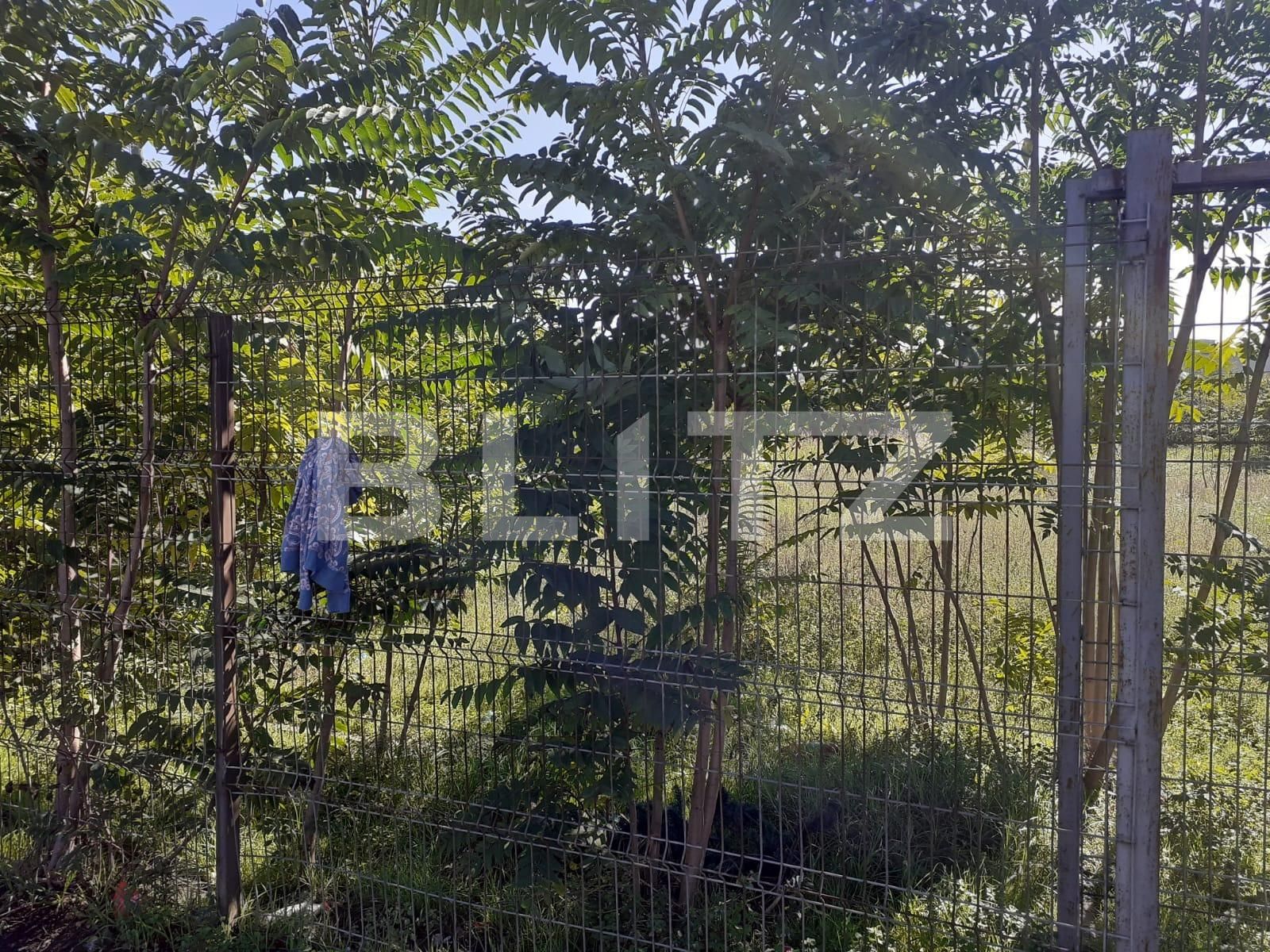 Teren de vânzare Iosefin - 98703TV | BLITZ Timișoara | Poza2