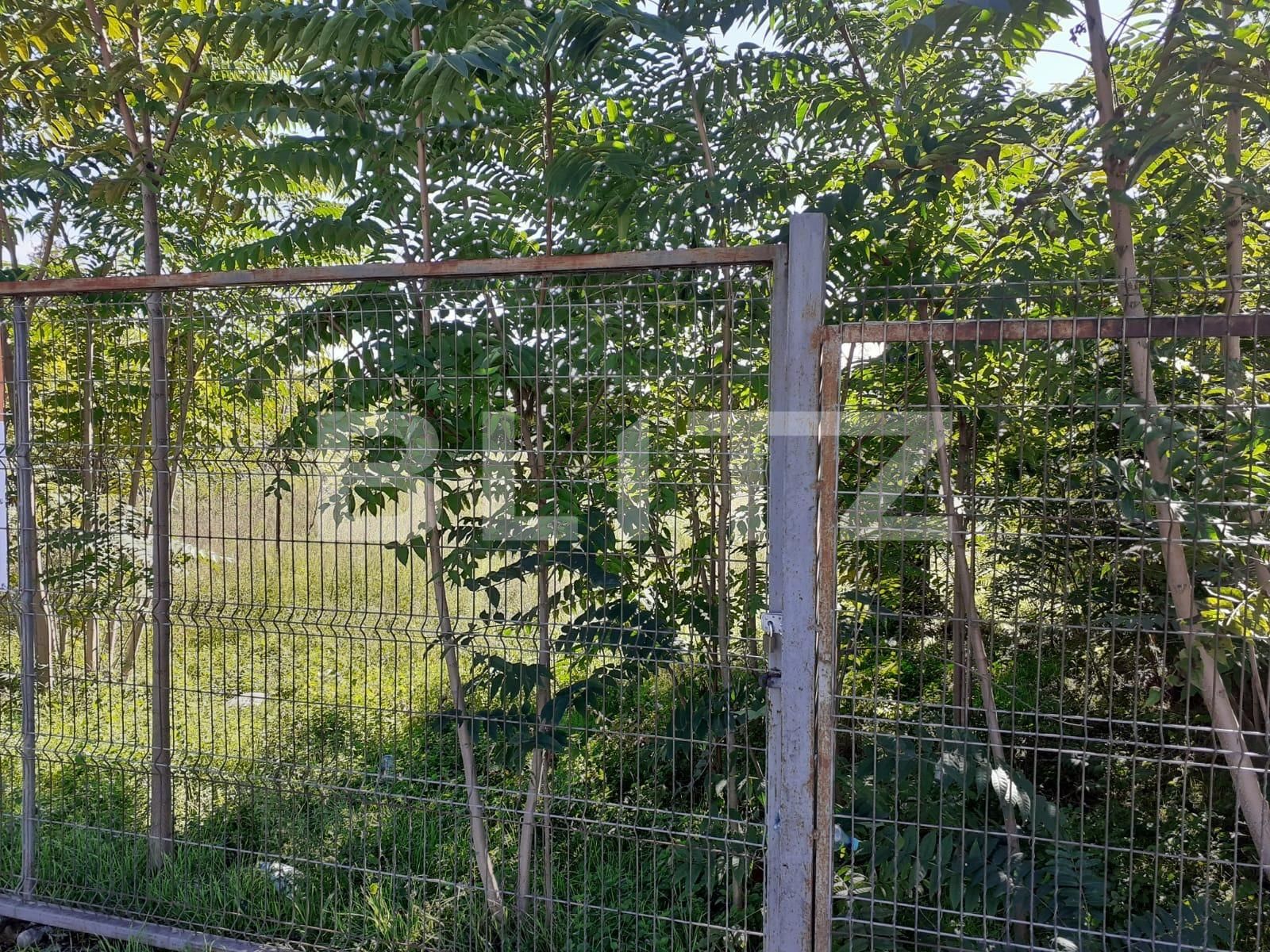 Teren de vânzare Iosefin - 98703TV | BLITZ Timișoara | Poza1