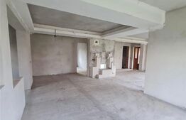 Casa individuala de 5 camere,  170 mp utili, 1120 mp teren, Recas