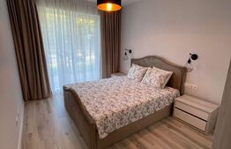 Apartament de 2 camere, 53 mp, cu terasa, la intrare în Dumbvrăvița