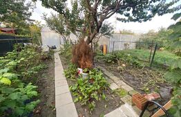 Casa individuala, 120 mp utili, 571mp teren, zona Sagului