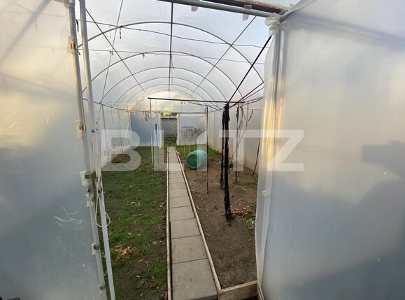 Casa de vânzare 3 camere Sagului - 98824CV | BLITZ Timișoara | Poza11