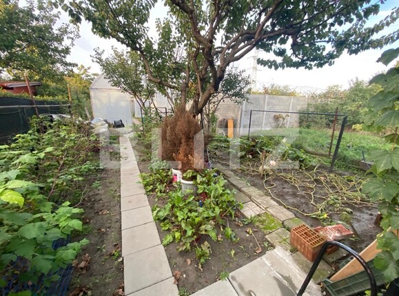 Casa de vânzare 3 camere Sagului - 98824CV | BLITZ Timișoara | Poza10