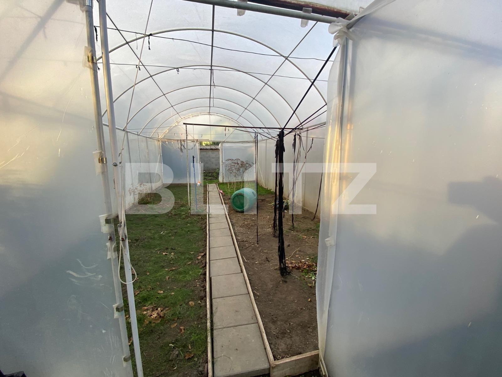 Casa de vânzare 3 camere Sagului - 98824CV | BLITZ Timișoara | Poza11