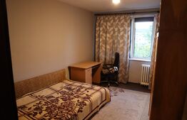 Apartament de 2 camere, 50mp, mobilat, zona Calea Sagului