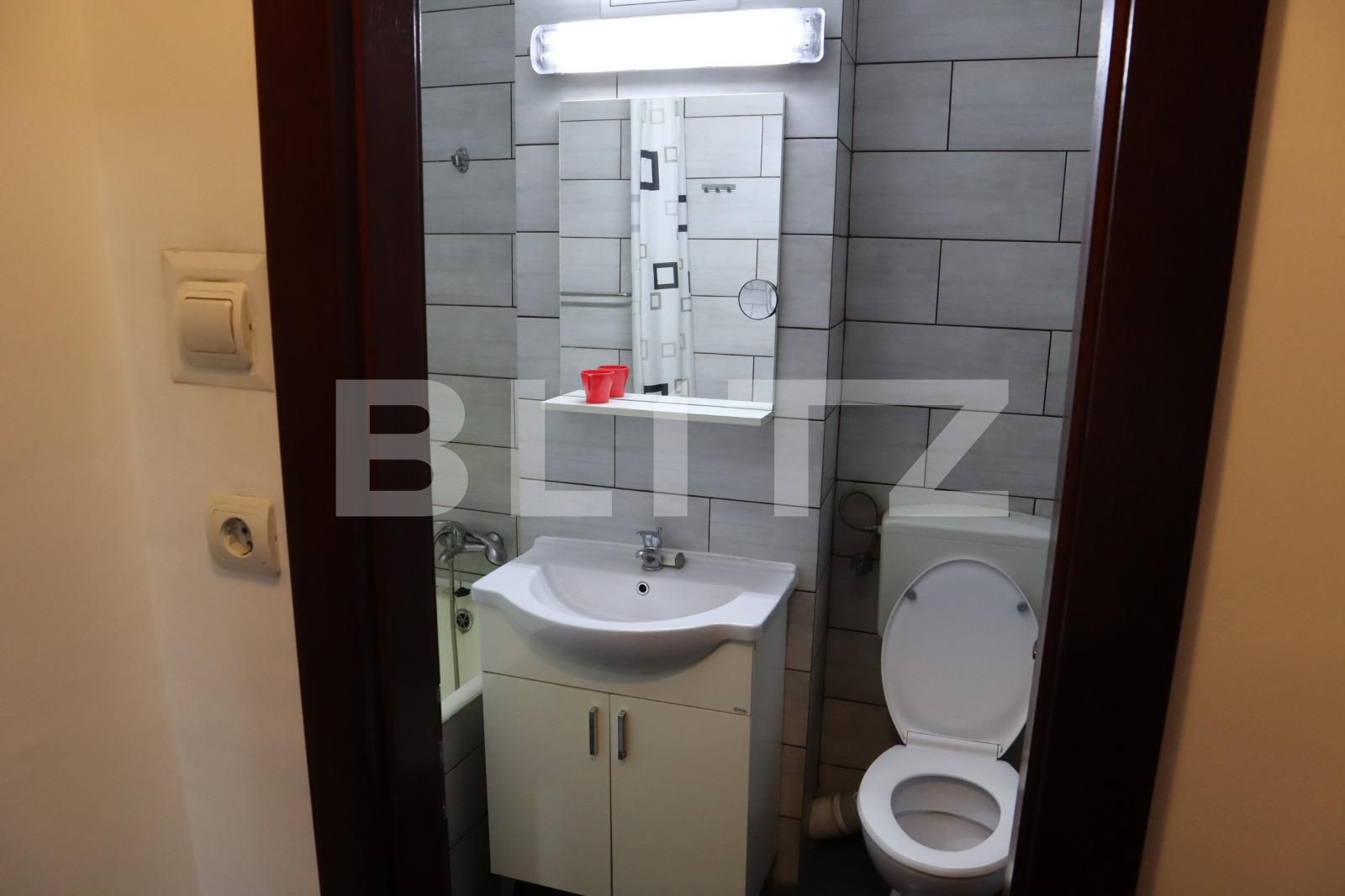 Apartament de închiriat 2 camere Sagului - 98836AI | BLITZ Timișoara | Poza3