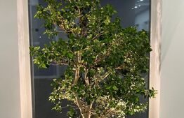 Casa superba cu o abordare moderna, la 15 minute de Timisoara