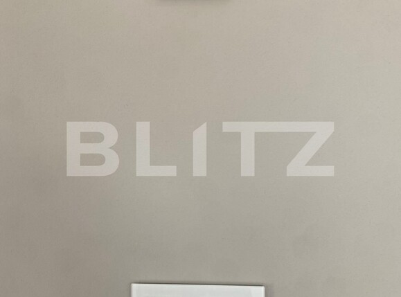 Casa de vânzare 3 camere Exterior Vest - 98841CV | BLITZ Timișoara | Poza10