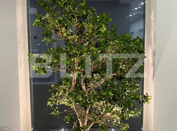 Casa de vânzare 3 camere Exterior Vest - 98841CV | BLITZ Timișoara | Poza14