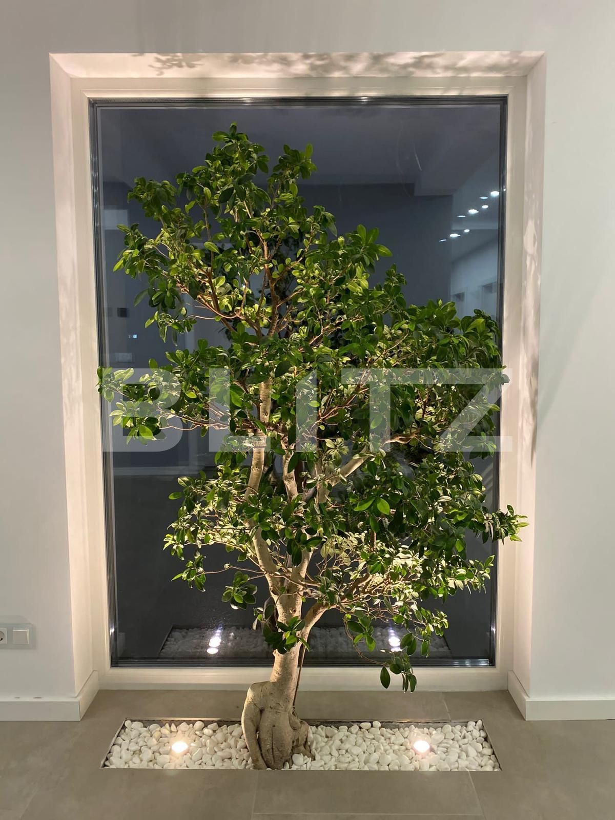 Casa de vânzare 3 camere Exterior Vest - 98841CV | BLITZ Timișoara | Poza14