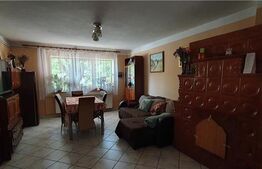 Casa cu 6 camere, 200 mp, teren 480 mp, zona Centrala, Timisoara