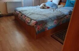 Casa cu 6 camere, 200 mp, teren 480 mp, zona Centrala, Timisoara