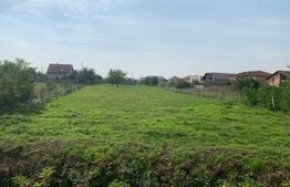 Teren extravilan  1242 mp, front 20.55 m in Dumbravita