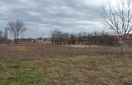 Teren extravilan  1242 mp, front 20.55 m in Dumbravita