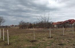 Teren extravilan  1242 mp, front 20.55 m in Dumbravita