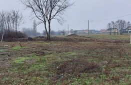 Teren extravilan  1242 mp, front 20.55 m in Dumbravita