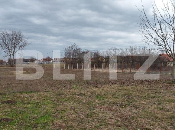 Teren de vânzare Dumbravita - 99116TV | BLITZ Timișoara | Poza4