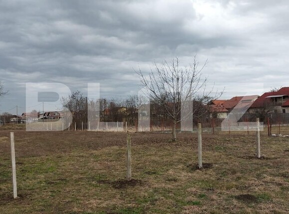 Teren de vânzare Dumbravita - 99116TV | BLITZ Timișoara | Poza5