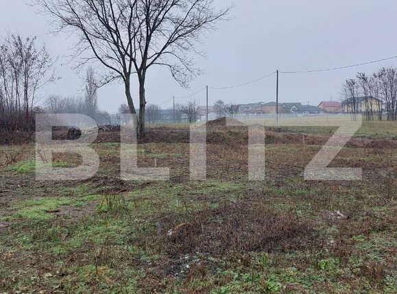Teren de vânzare Dumbravita - 99116TV | BLITZ Timișoara | Poza3
