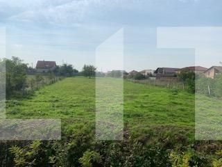 Teren de vânzare Dumbravita - 99116TV | BLITZ Timișoara | Poza2