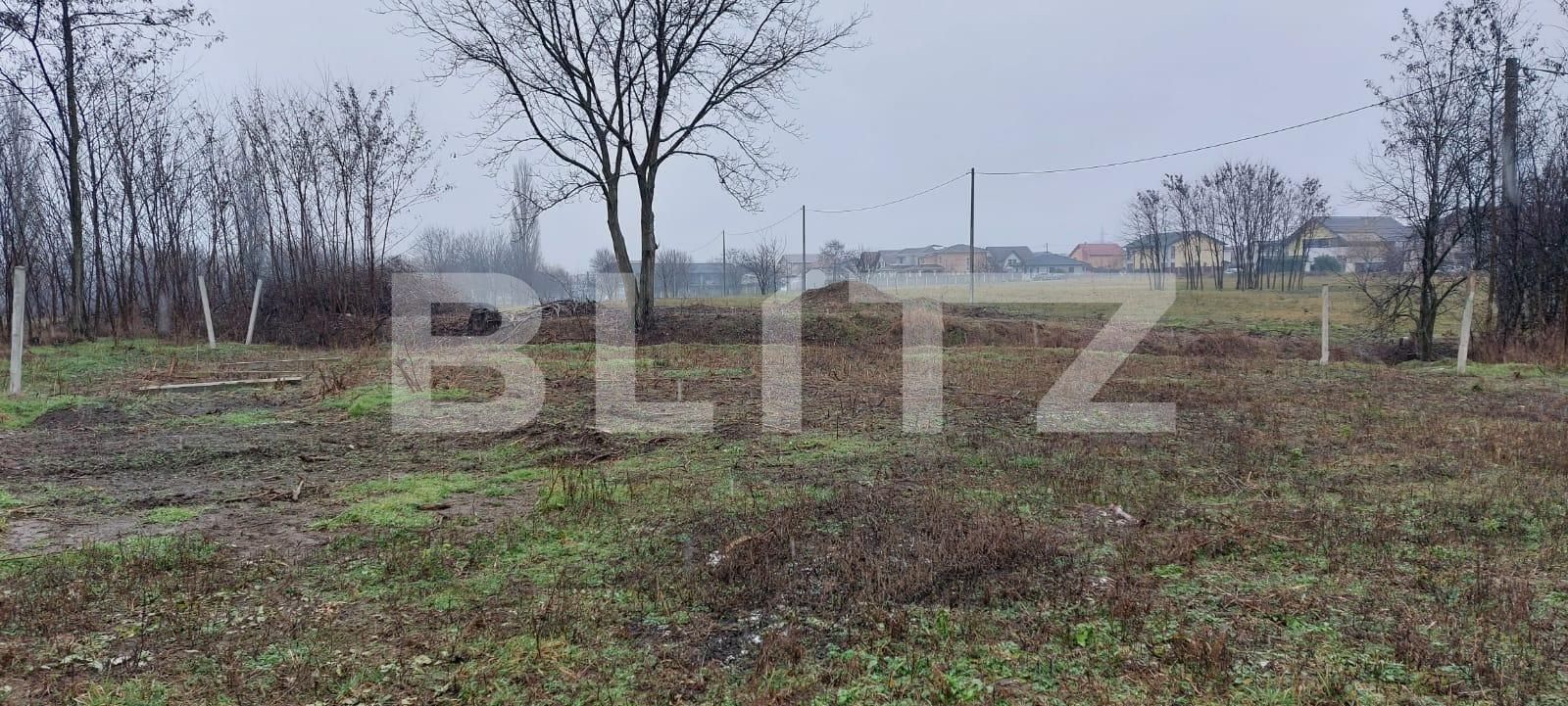 Teren de vânzare Dumbravita - 99116TV | BLITZ Timișoara | Poza3