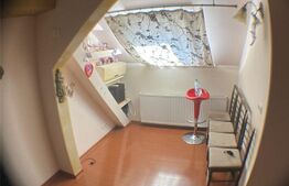 Garsoniera spatioasa, 37 mp, Iosefin