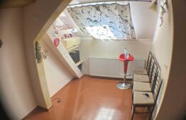 Garsoniera spatioasa, 37 mp, Iosefin