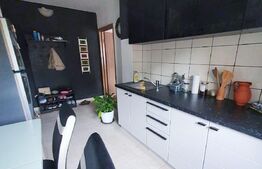 Apartament 2 camere, 54 mp, zona Lipovei