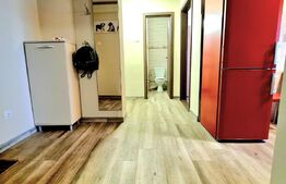 Apartament 2 camere, 55 mp, decomandat, zona Parcul Rozelor