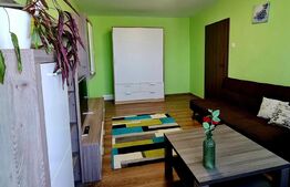 Apartament 2 camere, 55 mp, decomandat, zona Parcul Rozelor