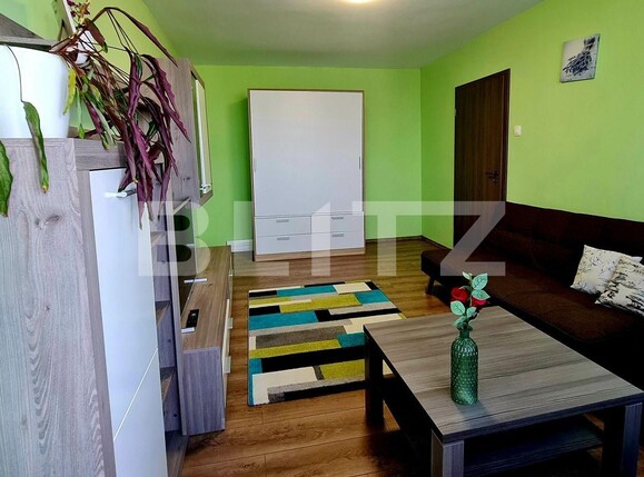 Apartament de vânzare 2 camere Central - 99180AV | BLITZ Timișoara | Poza3