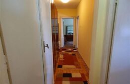 Apartament de 3 camere, 53 mp, etaj intermediar, Sagului 