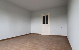 Garsoniera, 22 mp, Blascovici